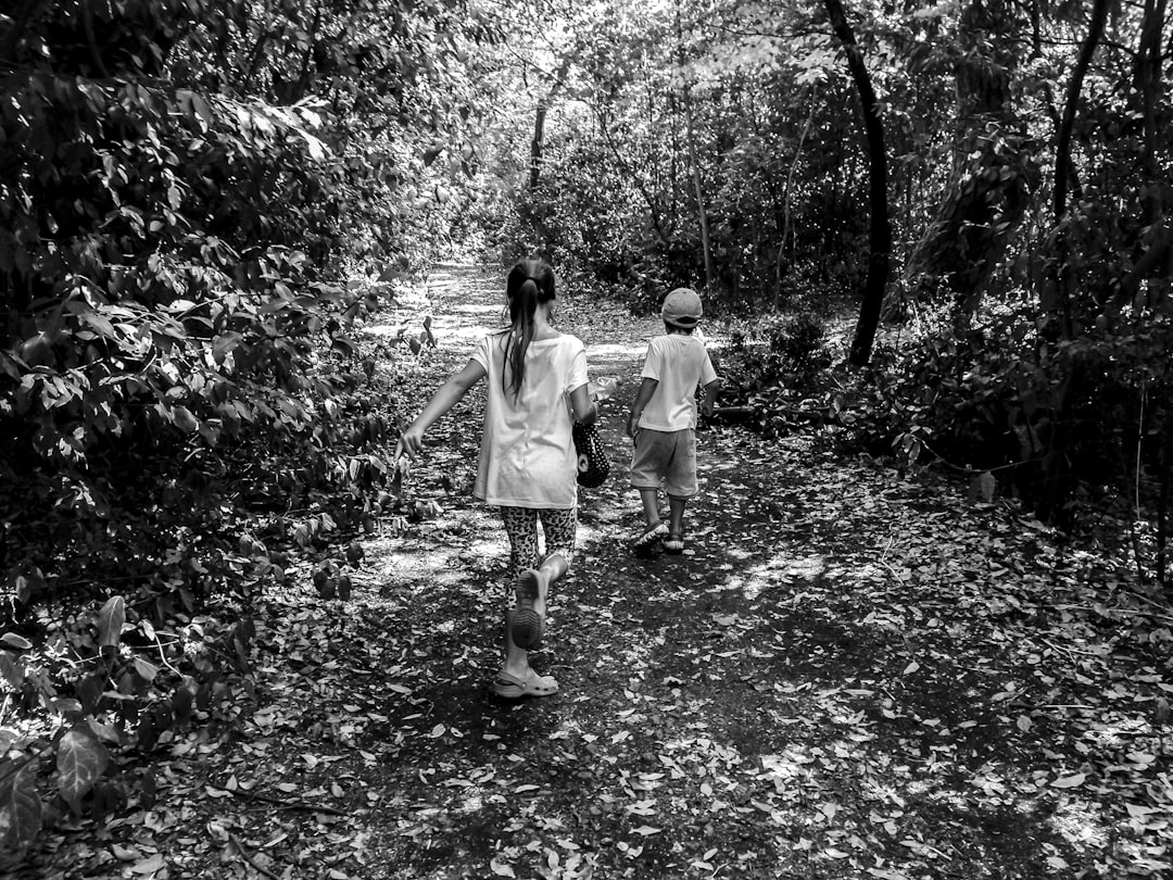 Photo baby, play yard